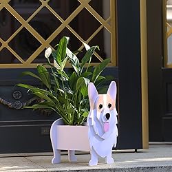 Gochoi Corgi Gifts for Corgi Lovers, Corgi Dog