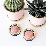 Max Factor Creme Puff Blush Nude Mauve 1 - 1.5 g - Flushed Contour view 5