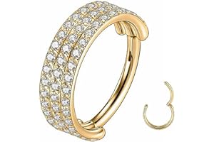 Yrogcu 20G 18G 16G 14G Single/Double Hoop Stainless-Steel Seamless-Hinged-Piercing Segment-Clicker Nose-Ring-Hoop : Diameter 6mm 8mm 10mm 12mm Cartilage Earrings