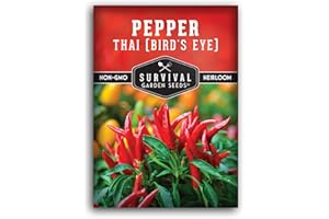 Thai Chili Pepper Seeds for Planting | Heirloom Bird’s Eye Hot Variety – Non-GMO Seeds for Spicy Cooking & Containers – Survival Garden Seeds (1 Pack)