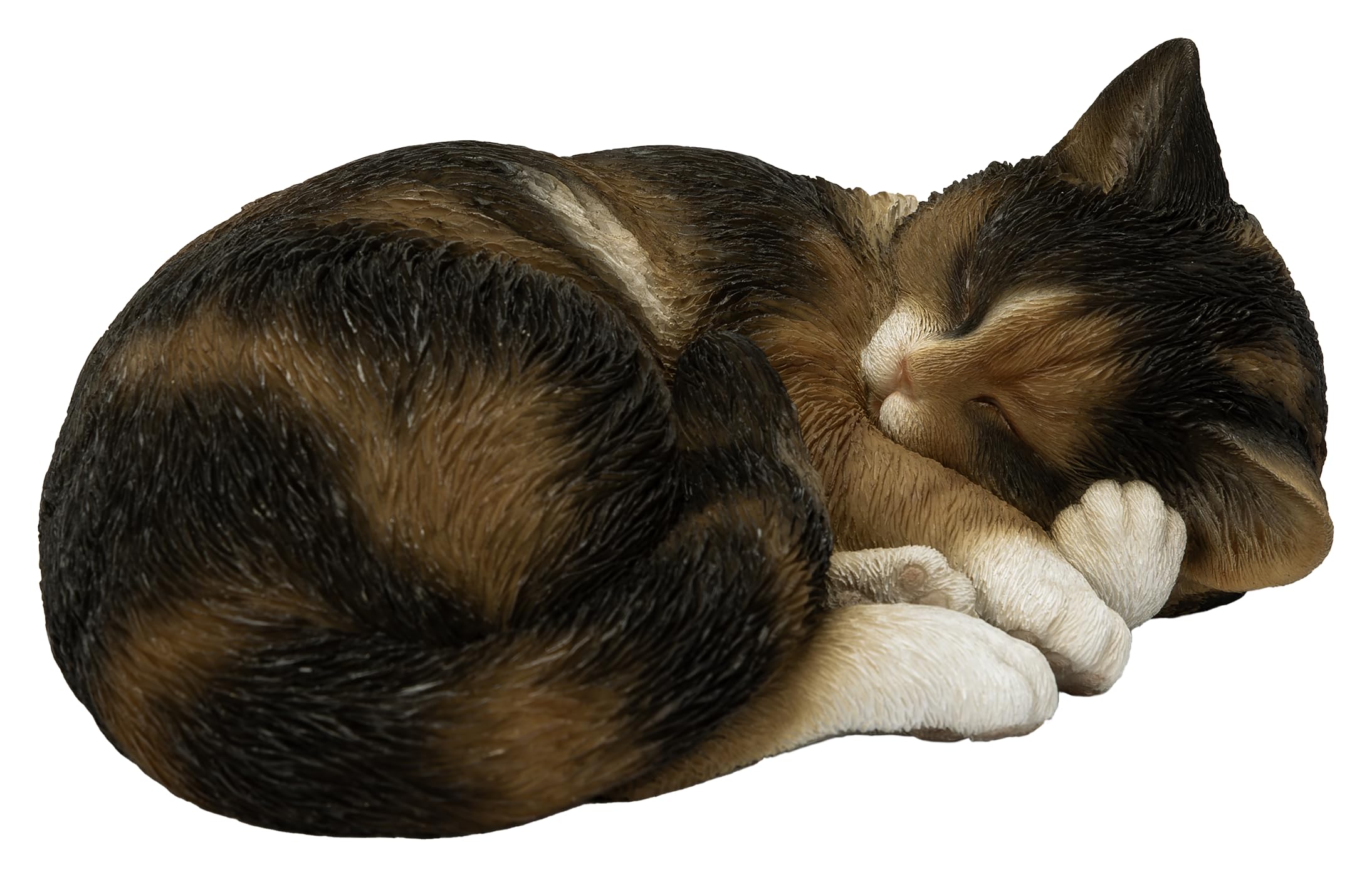 Vivid Arts - Sleeping Cat Tortoise Shell - XRL-ZC32-D