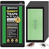 MaxGuard Extra Large Insect Traps (8 Traps) | Non-Toxic Extra Sticky Pre-Baited Glue Board, Trap &amp; Kill Most Crawling Insects, Bugs, Spiders, Crickets, Scorpions, Cockroaches, Centipedes, Snakes.