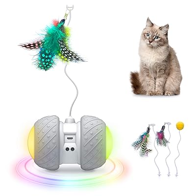 GKCI 2019 Upgrade Electronic Cat Toy, Automatic Mozambique ...
