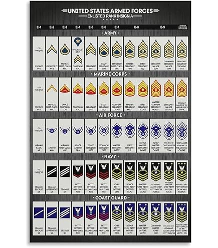 Amazon.com: U.S. Army Rank Wall Hanging - E-8 (1SG) Raised Stripes