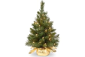 National Tree Company Pre-lit Artificial Mini Christmas Tree | Includes Small Lights and Cloth Bag Base | Majestic Fir - 2 ft