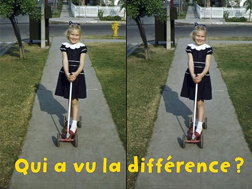 Download Qui a vu la difference ? PDF