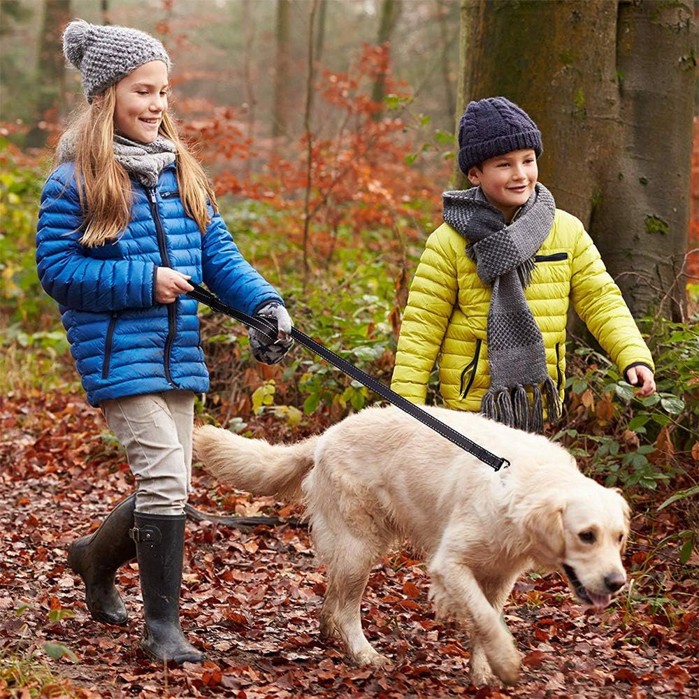 Eco-clean Dog Leash for Large Dogs, 2 Handles for Extra Control, 6 FT Long with Reflective Stitch for Night Walking : Pet Supplies