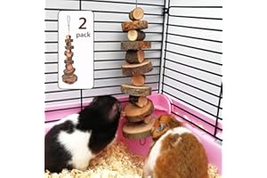 FJNATINH Natural Organic Apple Wood Chew Toys, 2 Pack Small Animal Snacks Toys Suitable for Bunny, Chinchilla, Guinea Pigs, Hamsters Teeth Grinding