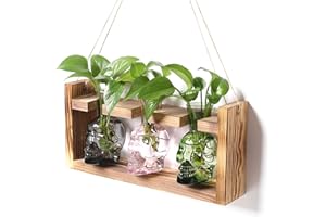 YYHGLASS Plant Terrarium Propagation Stations Hydroponics Halloween Skull Planter Vase Skulls Decor with Wooden Stand