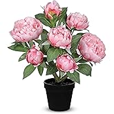 Hollyone Pink Fake Peonies Artificial Flowers in Pot 16.9" Small Peonies Tree Indoor Outdoor Faux Plants & Flowers Peony Silk Flowers Potted Plant Artificial Peony Floral Arrangement Desk Home Decor