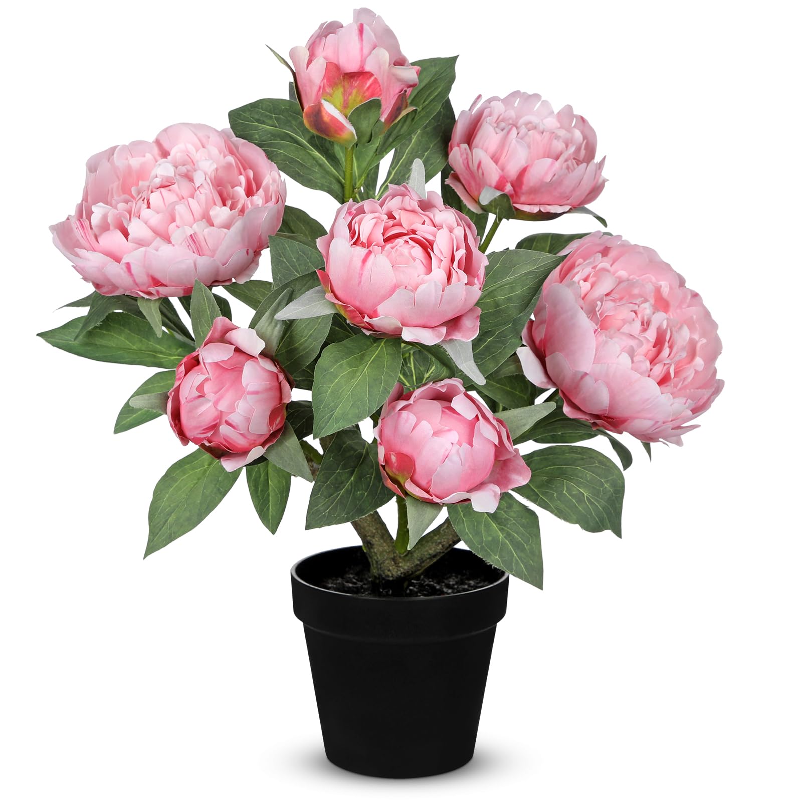 Photo 1 of Hollyone Pink Fake Peonies Artificial Flowers in Pot 16.9" Small Peonies Tree Indoor Outdoor Faux Plants & Flowers Peony Silk Flowers Potted Plant Artificial Peony Floral Arrangement Desk Home Decor