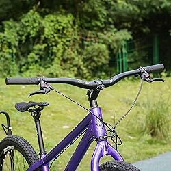 PLATT 25.4/31.8mm Mountain Bike Riser