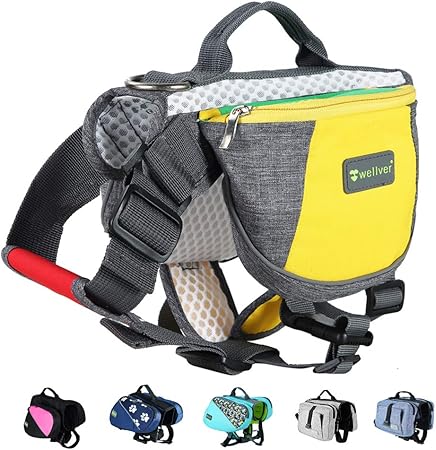 small walking backpack