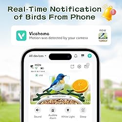 birdsnap® MON- Smart Bird Feeder with Camera