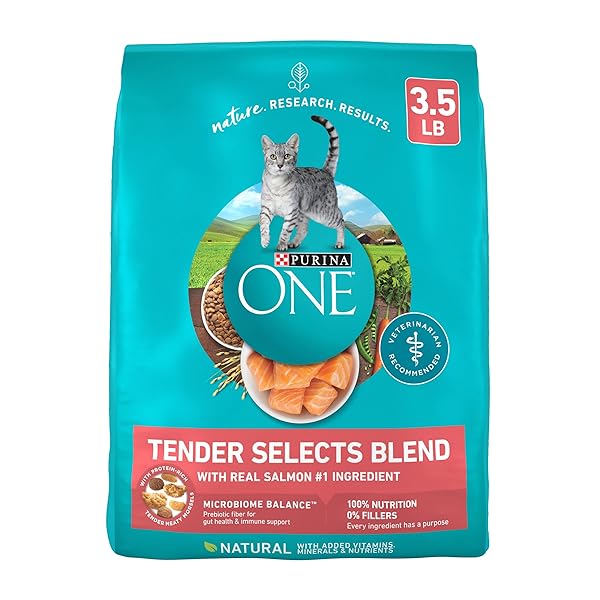 PURINA ONE NATURAL DRY CAT FOOD, TENDER SELECTS BLEND WITH REAL SALMON – 3.5 LB. BAG