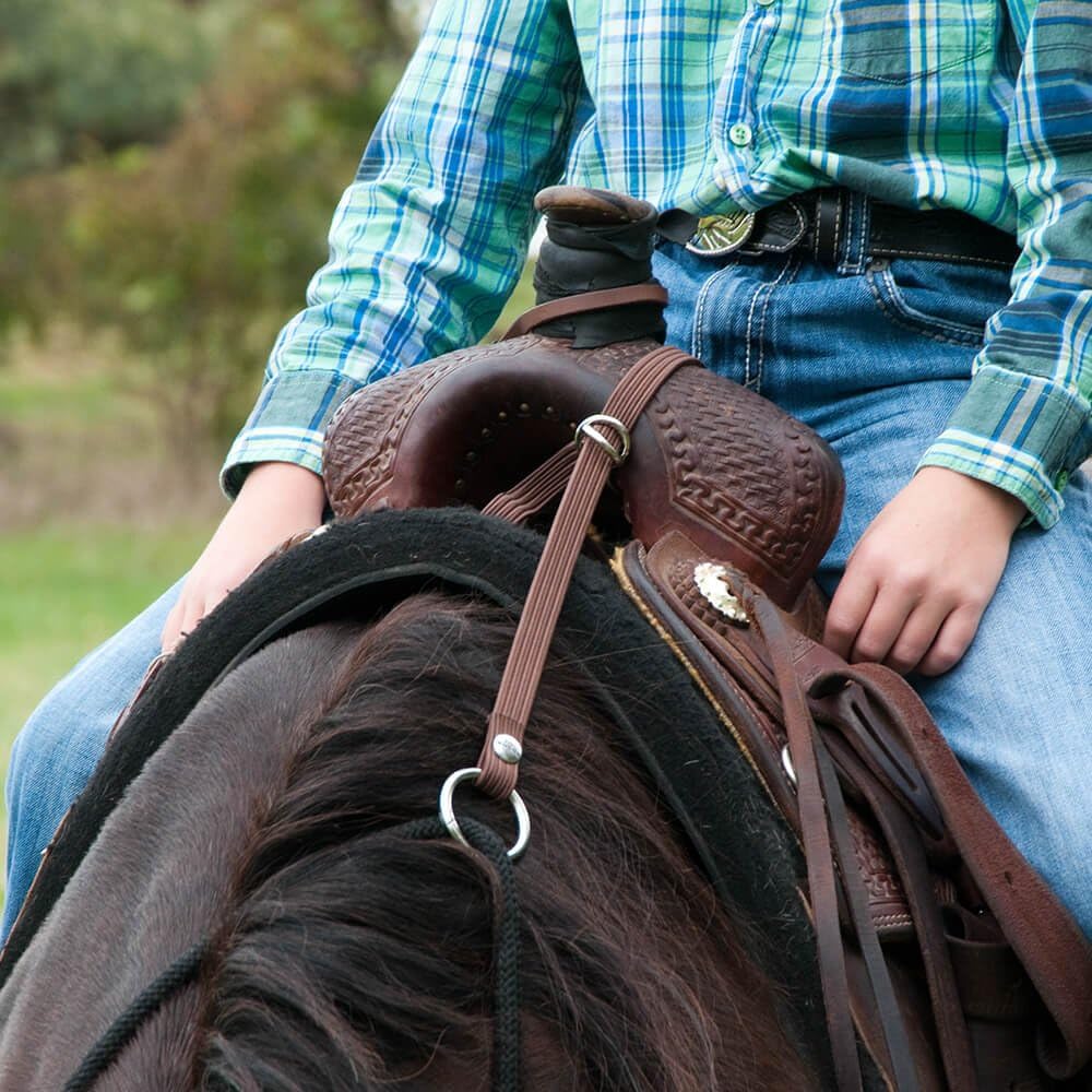 Rein Check Llc Dba Booma Rein Booma Rein Keeper Brown: Sports & Outdoors