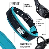 Black Rhino Comfort Collar Ultra Soft Neoprene Padded Dog Collar XL Pink/Black view 2