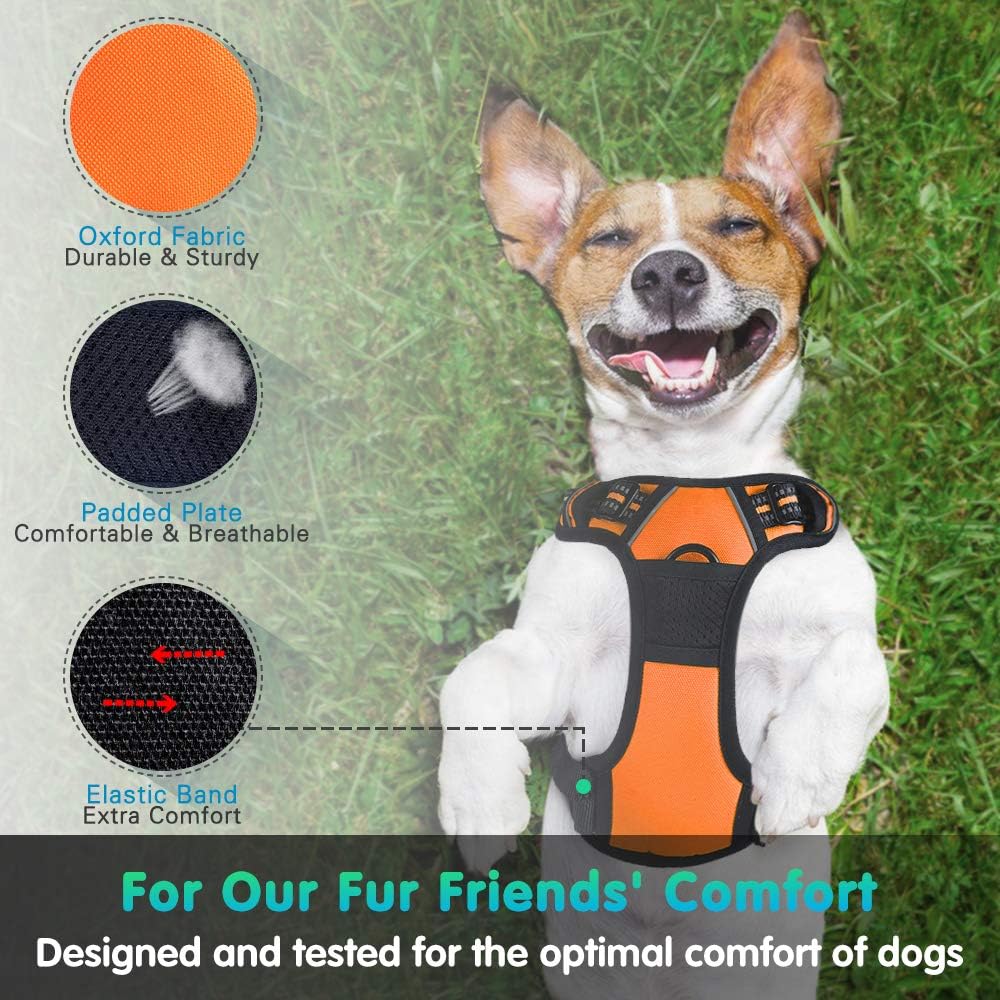 Eagloo Dog Harness No Pull, Walking Pet Harness with 2 Metal Rings and Handle Adjustable Reflective Breathable Oxford Soft Vest Easy Control Front Clip Harness Outdoor for Large Dogs Orange : Pet Supplies