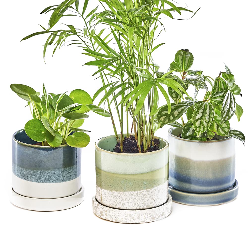Chive ‘Minute’ Ceramic Plant Pots — Cute, Beautiful Pots for Flowers & House Plants Indoor & Outdoor — Set of 3 — Green & Blue