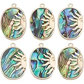 Beebeecraft 1 Box 6Pcs Abalone Shell Charms Oval Paua Shell Charms with 18K Gold Plated Sun Colorful Charm Pendants for Earring Necklace DIY Jewelry Making