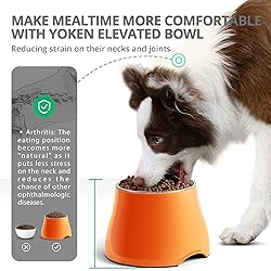 yoken Elevated Dog Bowls, [Prevention of Vertebrae