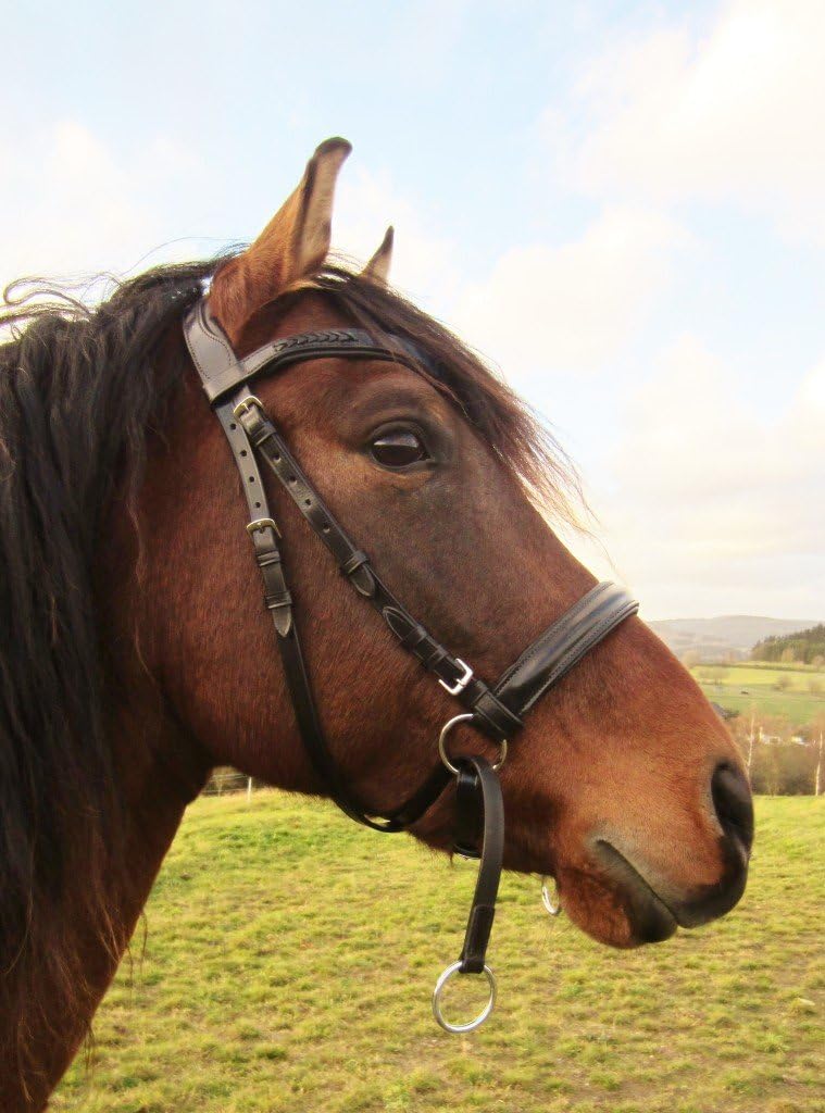PS Products 'Soft Brown – English Hackamore Bridle Anatomically Tilia