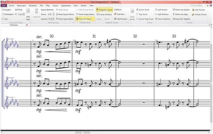 Avid Sibelius 8 Musique Notation Logiciel De Notation Avec Plan De Mise A Niveau Annuelle Amazon Fr Informatique