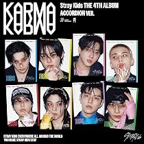 KARMA [VINYL] | Amazon.com.br