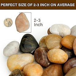NUPICK 12lb River Rocks for Plants Indoor, 2-3Inch