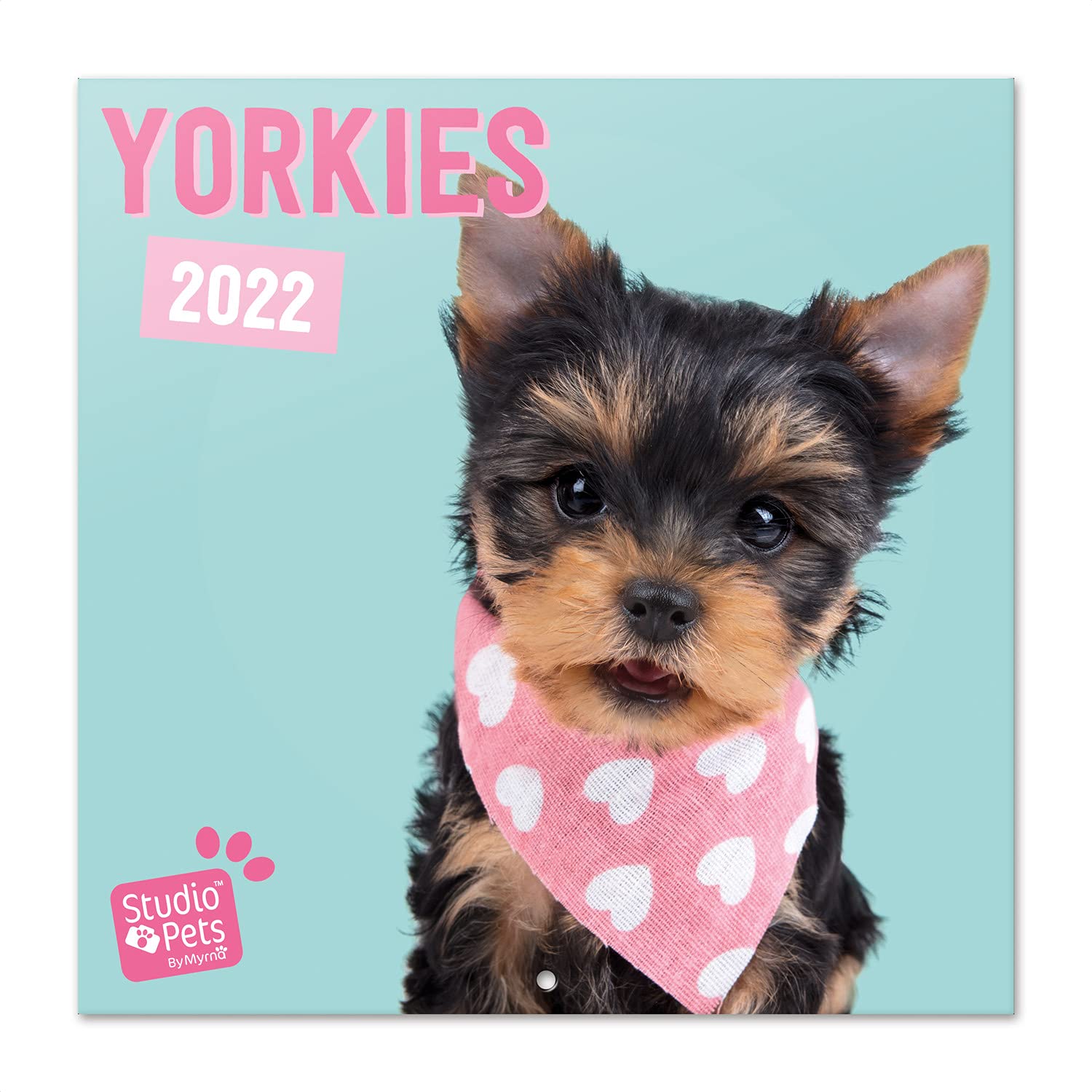 Grupo Erik: Official Studio Pets Yorkshire Terrier 2022 Wall Calendar, 2022 Calendar, 12' x 12' Square Wall Calendar 2022, Family Calendar 2022, Dogs Calendar 2022 - Kids Calendar 2022 โ image 1