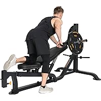 Amazon.com: Powertec