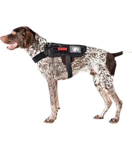 ActiveDogs Padded Air-Tech Dog Harness - Reflective No Pull Service Dog Vest, XL - Girth 29"-40", Lime