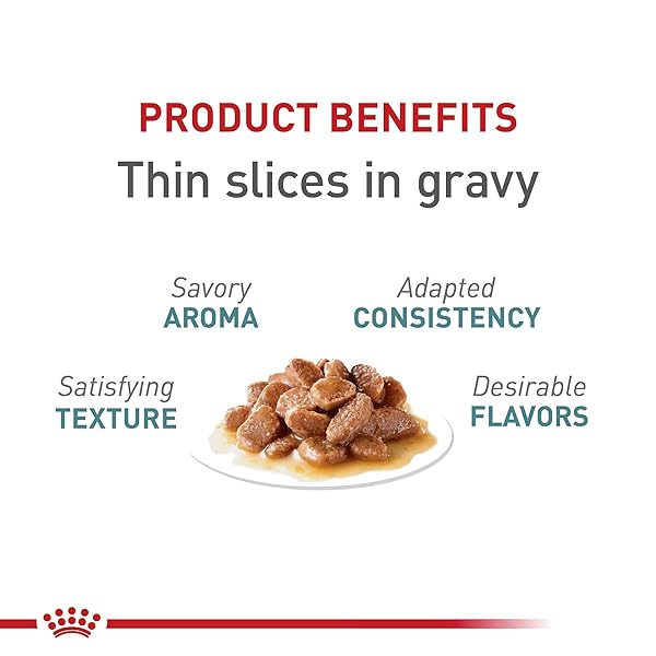 ROYAL CANIN HAIRBALL CARE THIN SLICES IN GRAVY WET CAT FOOD, 3 OZ CAN (24-COUNT)