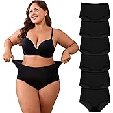Mcool Mary Women's Underwear，Sheer Panties,Mid-High Waisted Ladies Briefs,Full Coverage,Thin Nylon Briefs with Lace（6 Pack）