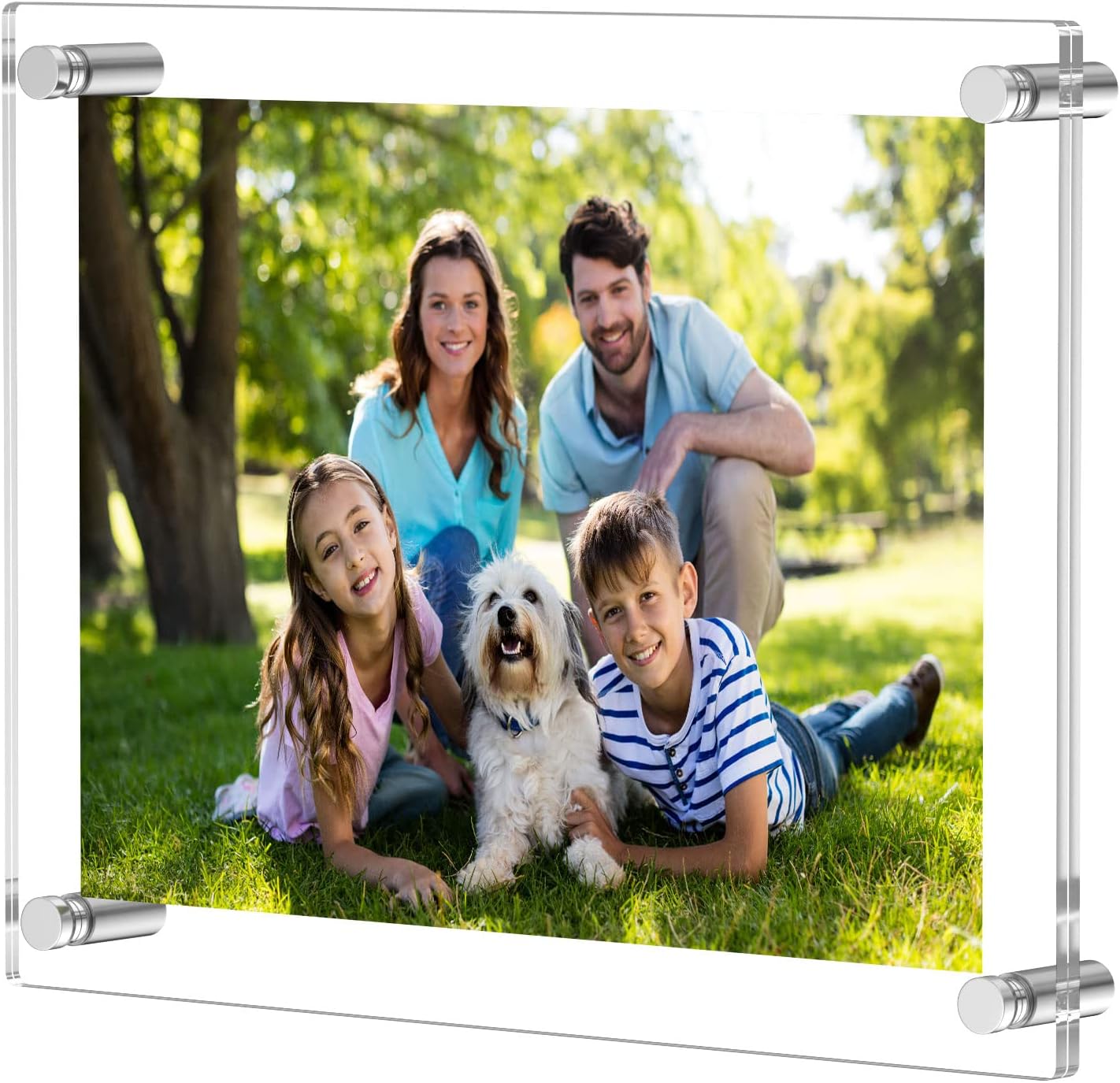 Photo Albums, Frames & Accessories - NIUBEE 8.5x11 Clear Acrylic Wall Mount Floating Picture Frame A4 Letter Size Photo for Document Certificate Sign Display -Double Panel (Full Frame is 9.4x13.4 inch)
