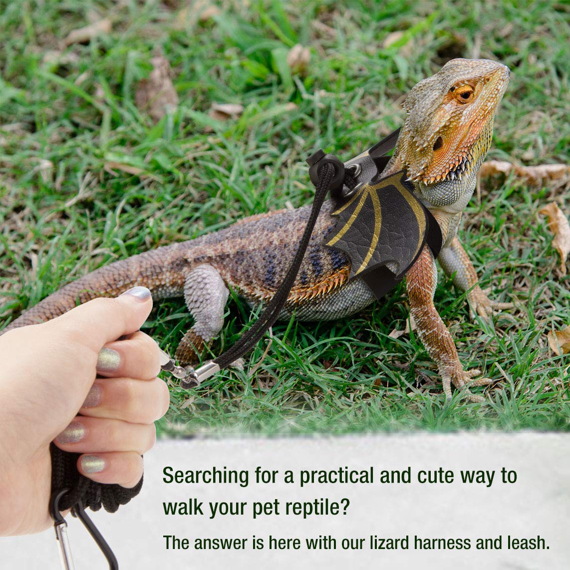 gecko leash