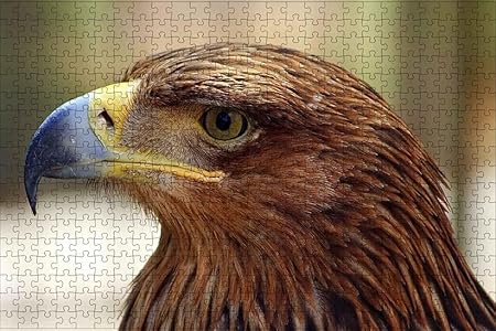 Amazon Lhjoy 大人のための3dジグソーパズル1000ピースバードイーグルくちばし動物子供のための誕生日プレゼントとホリデーギフト 75x50cm おもちゃ おもちゃ