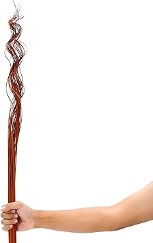 Amazon Com Dried Colored Twisted Twig Bunch For Floor Vases