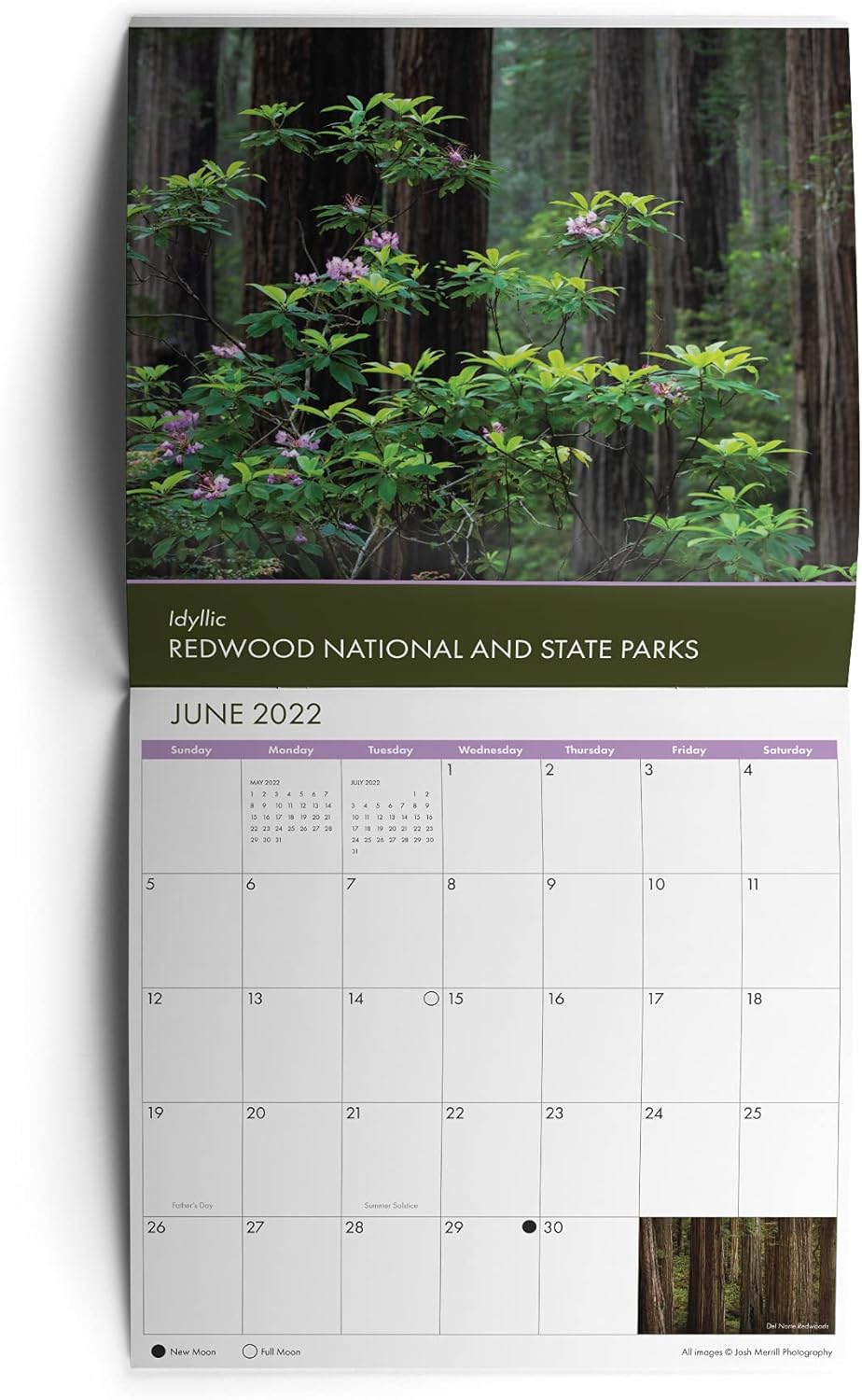 Gardenware Weather Resistant Laser Printable Pot Stick Plant Labels 63