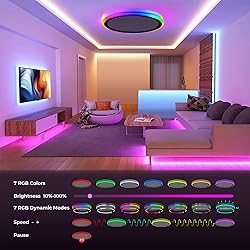 BLNAN RGB Led Flush Mount Ceiling Light with Remote