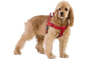 KRUZ PET Kruz No Pull Dog Harness (Chest 21”-30”, Weight 22-53 lbs) Heavy-Duty Pet Harness for Medium Breeds, Ultra-Comfort Fit, Lifetime Durability, Adjustable Dog Harness No Pull Design (Red, Medium)
