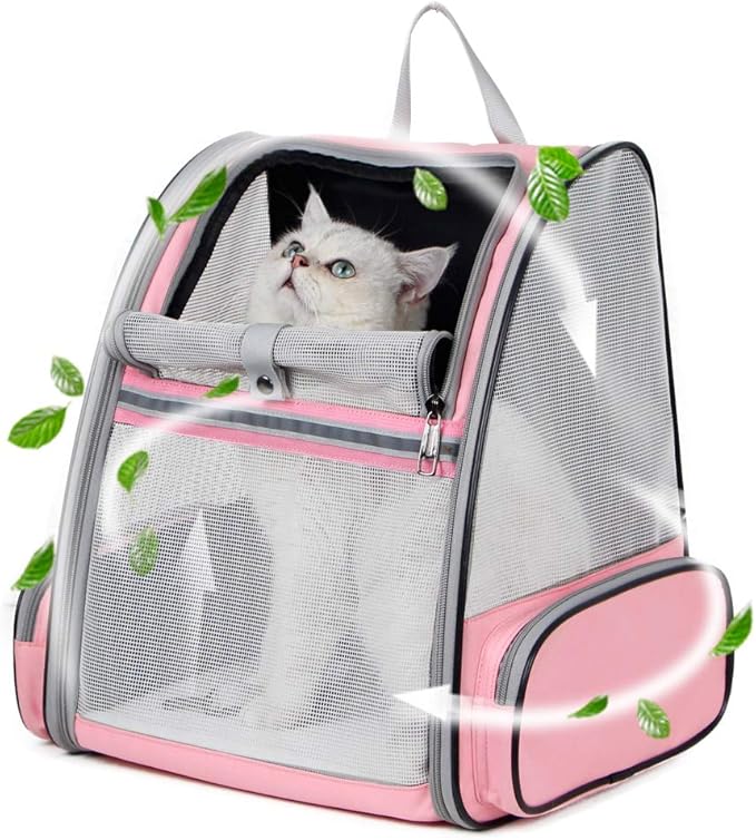 cat bubble backpack amazon