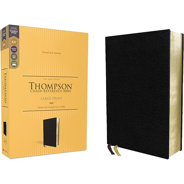NIV, Thompson Chain-Reference Bible, Large Print, Bonded Leather