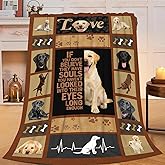 Cute Labrador Blanket Funny Dog Labrador Retriever Throw Blankets Soft Cozy Warm Fuzzy Fleece Flannel Pets Animal Throws Stuff Gifts for Girls Boys Men Women Bed Couch Bedding Decor 50"x40"
