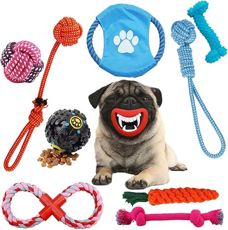 Dog toy jouet pour chien Clearance