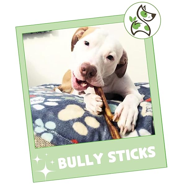 NATURE GNAWS BULLY STICKS FOR DOGS 5-6″ (8OZ) – MIXED THICKNESS – LONG LASTING FOR AGGRESSIVE CHEWERS AND LARGE DOGS – NATURAL BEEF DOG CHEW BONES