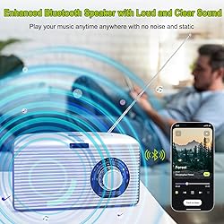 DreamSky Portable AM FM Radio with Sleep Timer