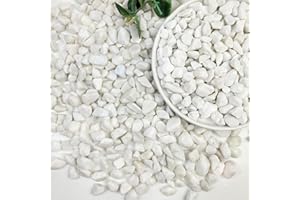 SHIZWU 2lbs Pebbles for Indoor Plants, 1/2inch Small Pebbles for Succulent Cactus Plants, Natural Polished Stones, River Rocks for Plants, Vases, Aquariums, Gardening, White