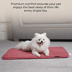 BALANCE Dog Crate Pad, Dog Foam Crate Mat Kennel
