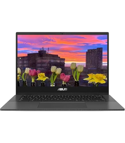 ASUS C423N Chromebook （クロームブック） Amazon.com: ASUS Chromebook C423N Clamshell Laptop, 14